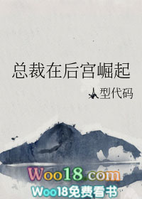 總裁在後宮崛起（穿越）